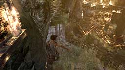 Tomb Raider 2013 6K Screen shot